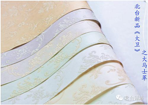 北台新品《大卫》即将推出 (图5)