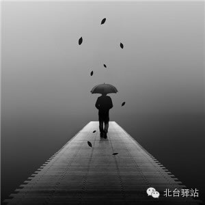 【北台邀您欣赏】摄影师眼中的世界1 (图9)