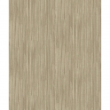 H67007