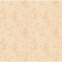 H37604