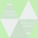 7Y004