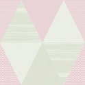 7Y005