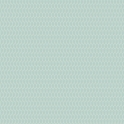 7Y071