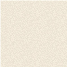 19003