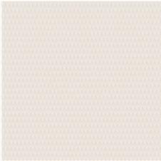 29031