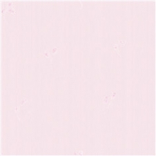 H37302