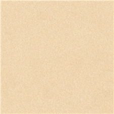 83751
