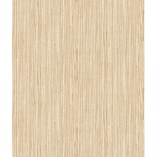 H67005