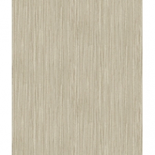 H67006