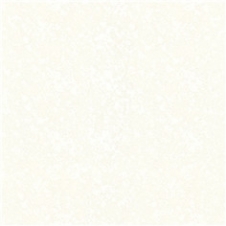 81200