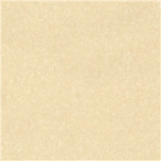 81281