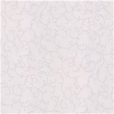 A91806